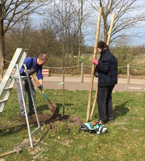 Pflanzmeisterin und -meister