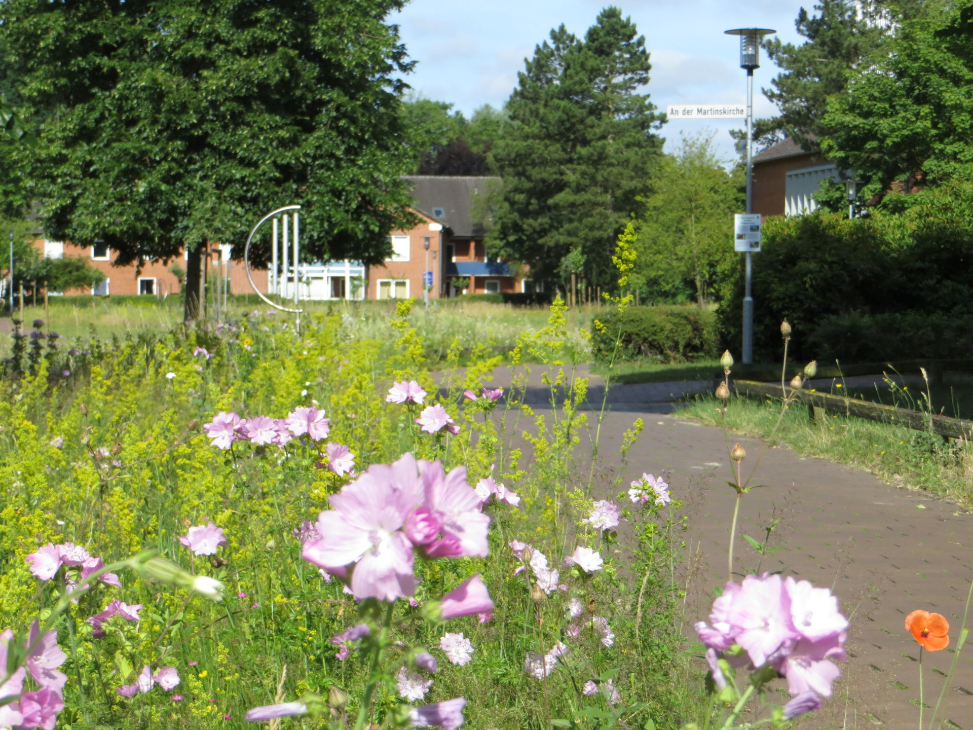 Eine Wiese mit Wildblumen vor den Häusern der Diakonie 