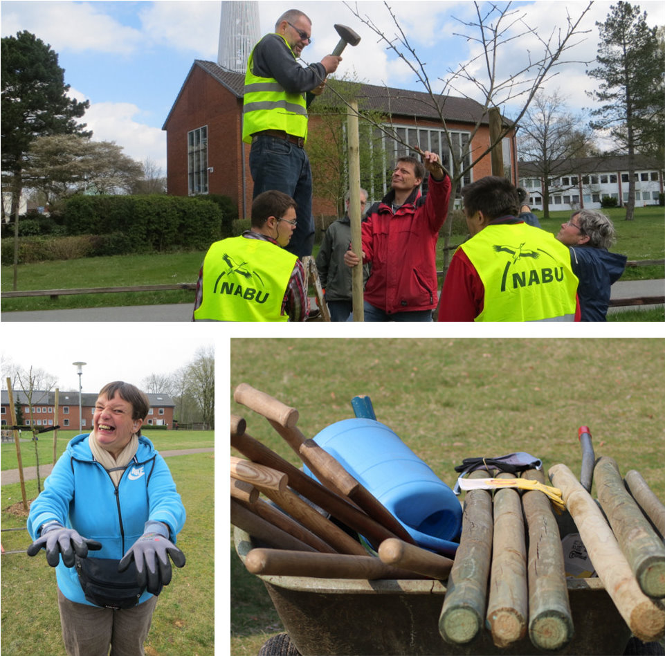 Mitglieder des NABU und Menschen mit Behinderungen pflanzen gemeinsam Bäume