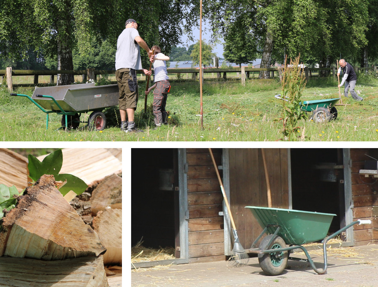 Zusammenstellung von Bildern von der Arbeit in der Natur 