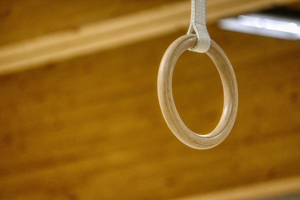 Alexander Fox | PlaNet Fox auf Pixabay 