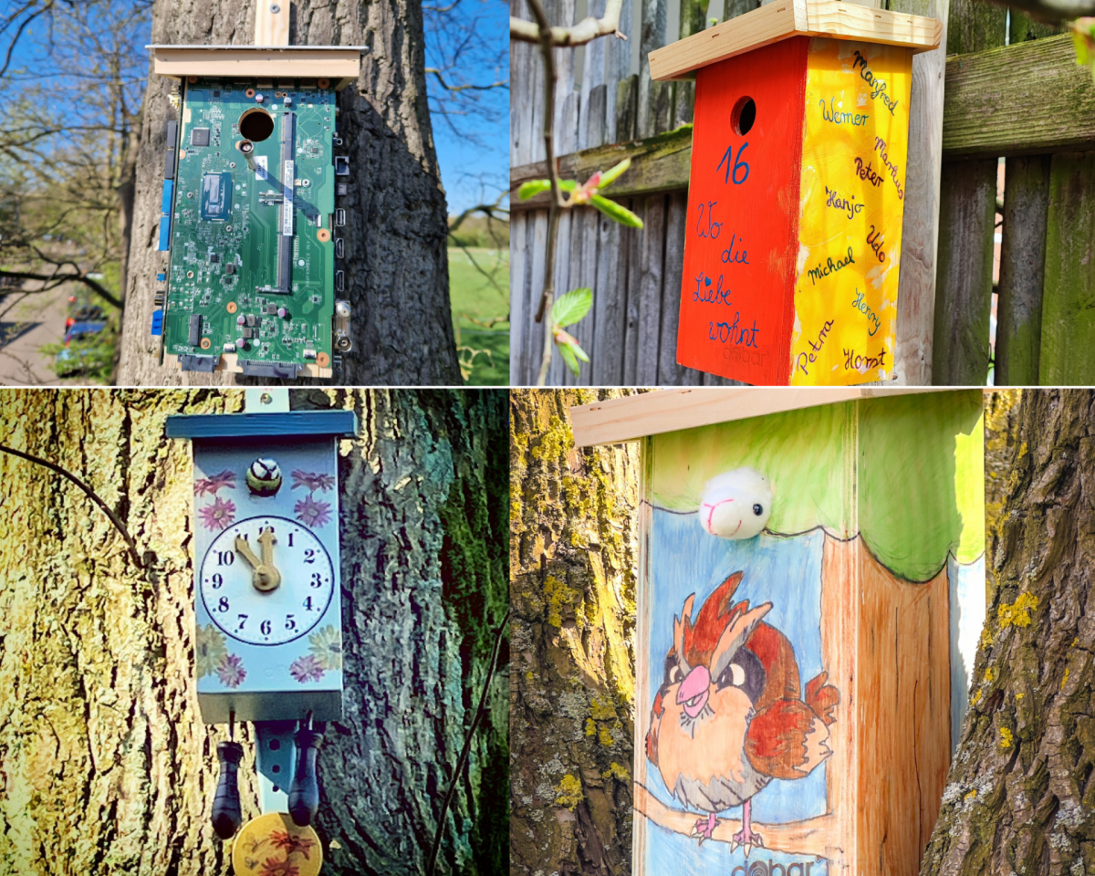 Die Sieger-Häuschen