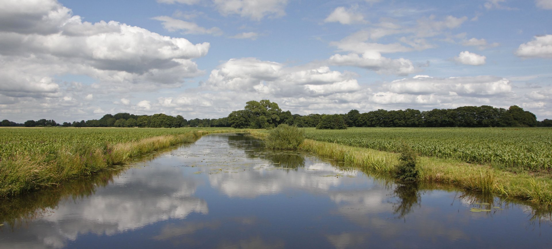 Ein Fluss fließt durch grüne Wiesen 