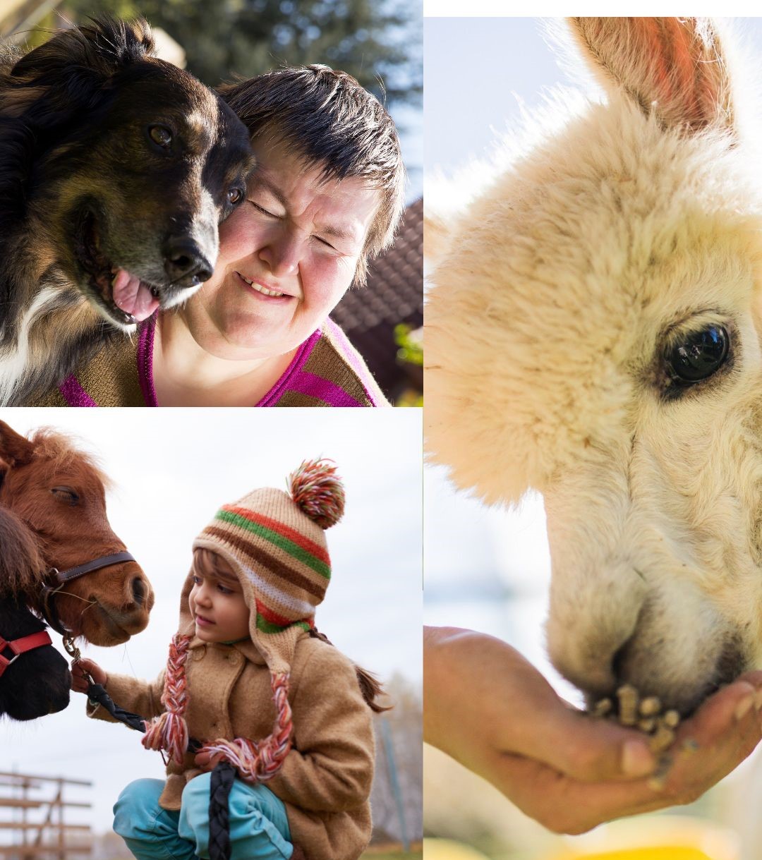 Tiere und Menschen sind zusammen. Die Menschen freuen sich.