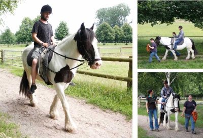 Collage Reiten
