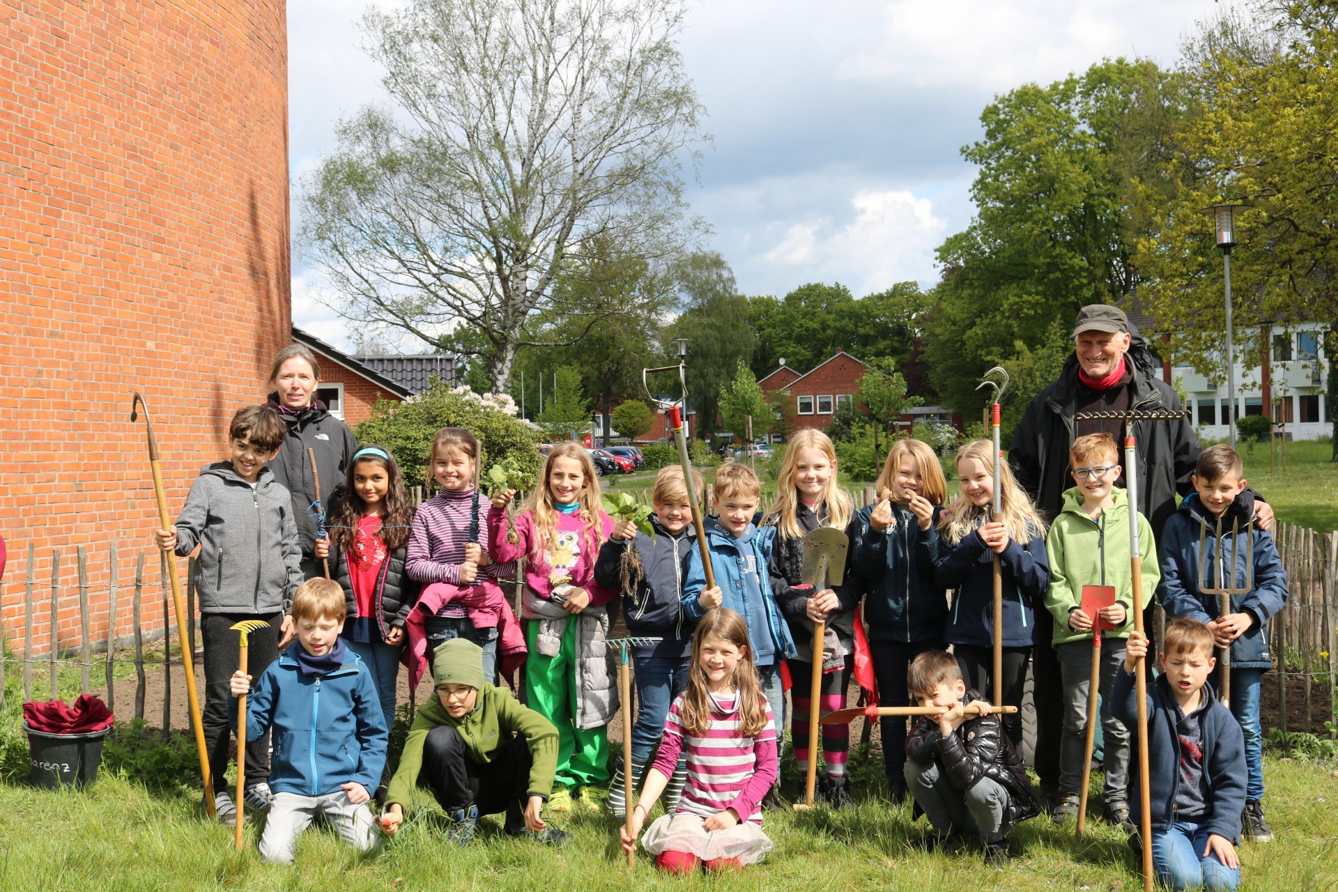 Kartoffeln in die Erde